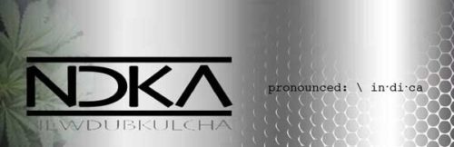 Read more about the article NDKA releases debut ep NEW DUB KULCHA