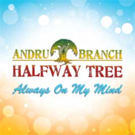 Read more about the article Andru Branch :: “Always On My Mind”