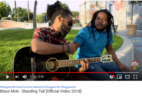 Read more about the article Blaze Mob Now Booking 2019 & New Video  “Stand Tall”  premiers today