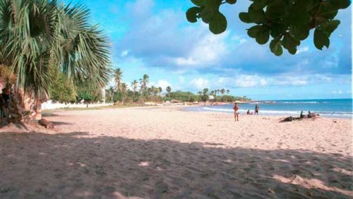 Read more about the article International investors dance to the tune of Jamaica’s reggae-loving central bankers