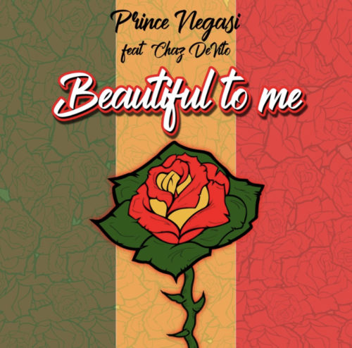 Read more about the article Introducing a new song from Prince Negasi featuring Chaz DeVito
